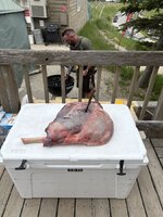 IMG_4163.jpeg