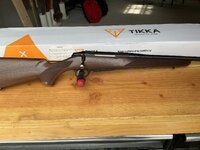 IMG_2065.jpeg