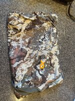 IMG_6804.jpeg