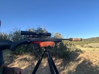 IMG_9898.jpeg