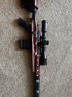 IMG_2875.jpeg