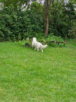 20230809_191509.jpg