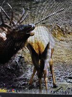 IMG_5933.jpeg