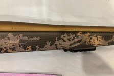 IMG_5782.jpeg