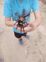 IMG_20221001_172228535.jpg