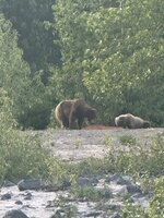 IMG_0371.jpeg