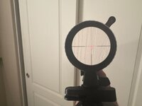 IMG_8091.jpeg