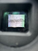IMG_9703.jpeg