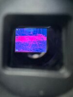 IMG_9705.jpeg