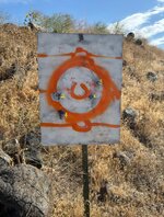 IMG_2239.jpeg