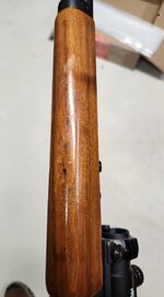 20250616_175116.jpg