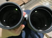 IMG_9778.jpeg
