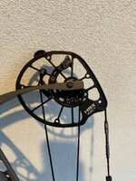 IMG_8281.jpeg