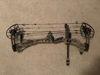 IMG_1937.jpeg