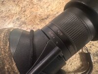 IMG_8274.jpeg