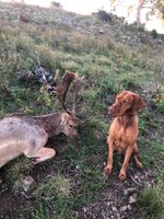IMG_1865.jpeg