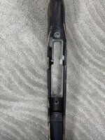 IMG_0509.jpeg