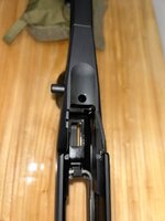 IMG_9521.jpeg