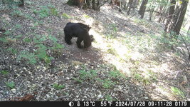 IMG_3709.jpeg