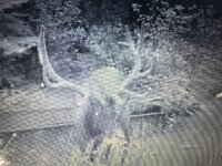 IMG_3515.jpeg