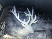 IMG_3540.jpeg
