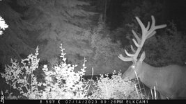 IMG_0220.jpeg