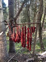 IMG_0613.jpeg