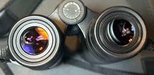 Zeiss Victory HT 8X42 3.jpg