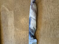 IMG_3402.jpeg
