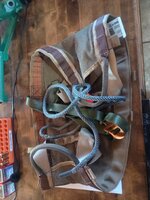 saddle4.jpg