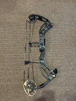 IMG_4216.jpeg