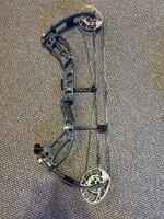 IMG_4217.jpeg
