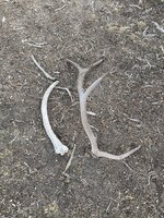 IMG_9193.jpeg