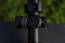 bushnell5.jpeg