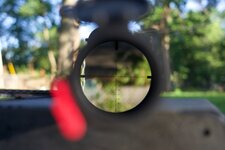 bushnell6.jpeg