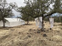 IMG_1563.jpeg