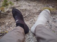 IMG_20210911_063343301.jpg