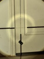 IMG_6009.jpeg IMG_6009.jpeg