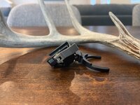 IMG_0314.jpeg