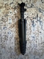 IMG_2093.jpeg