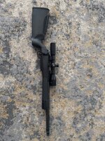 IMG_2672.jpeg