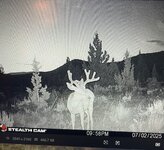 IMG_7932.jpeg