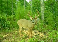 IMG_0344.jpeg