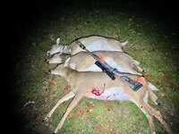 IMG_2435.jpeg