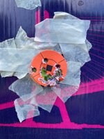 IMG_3375.jpeg