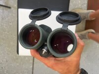 IMG_9812.jpeg