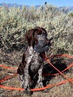 IMG_6983.jpeg