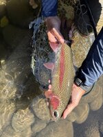 IMG_9146.jpeg