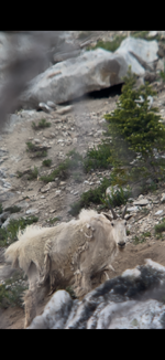 IMG_8438.png