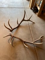 IMG_7106.jpeg